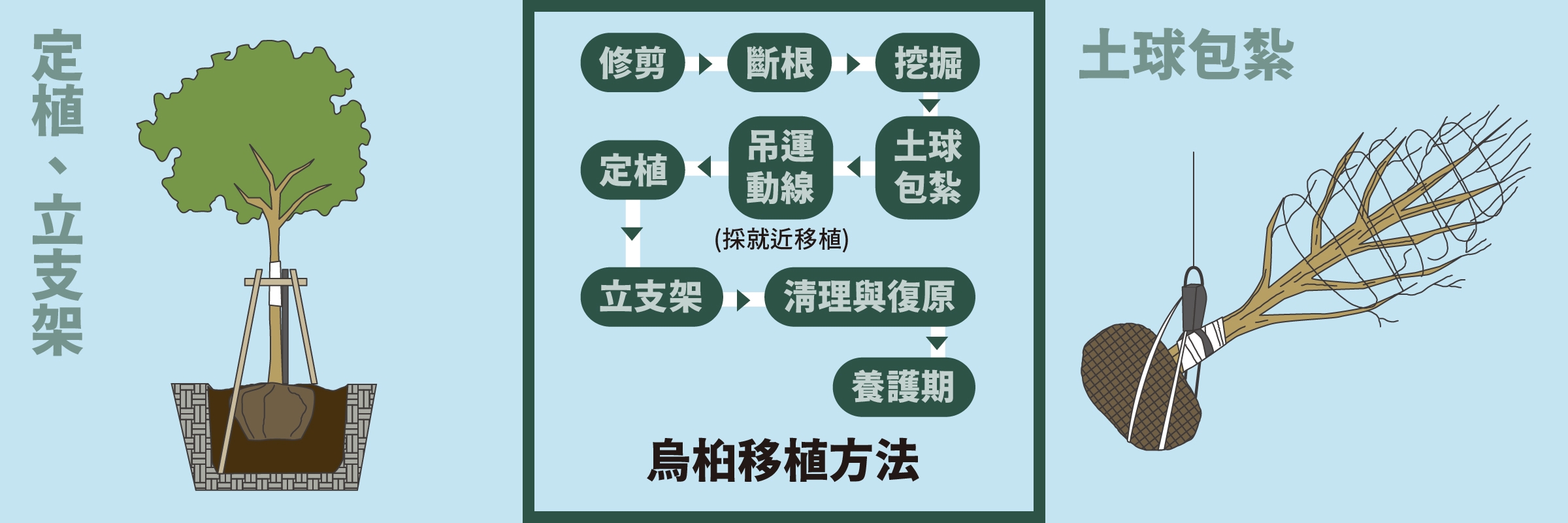 打造渡邊氏東方蠟蟲說明圖2/3