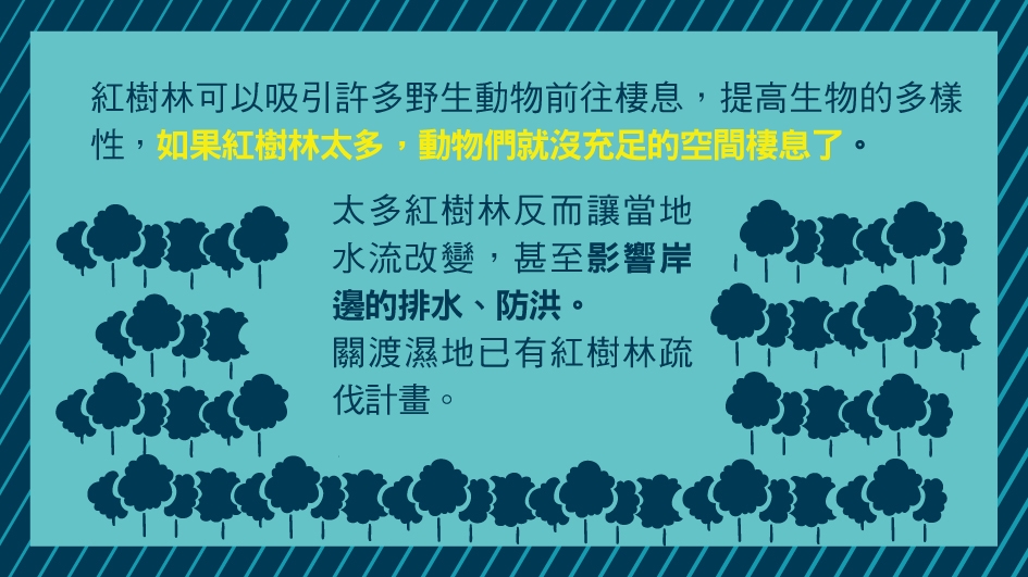 紅樹林可以吸引許多野生動物前往棲息,提高生物的多樣性,如果紅樹林太多,動物們就沒有充足的空間棲息了. 太多紅樹林反而讓當地水流改變,勝制影響按邊的排水,防洪.關渡濕地已有紅樹林疏伐計畫.